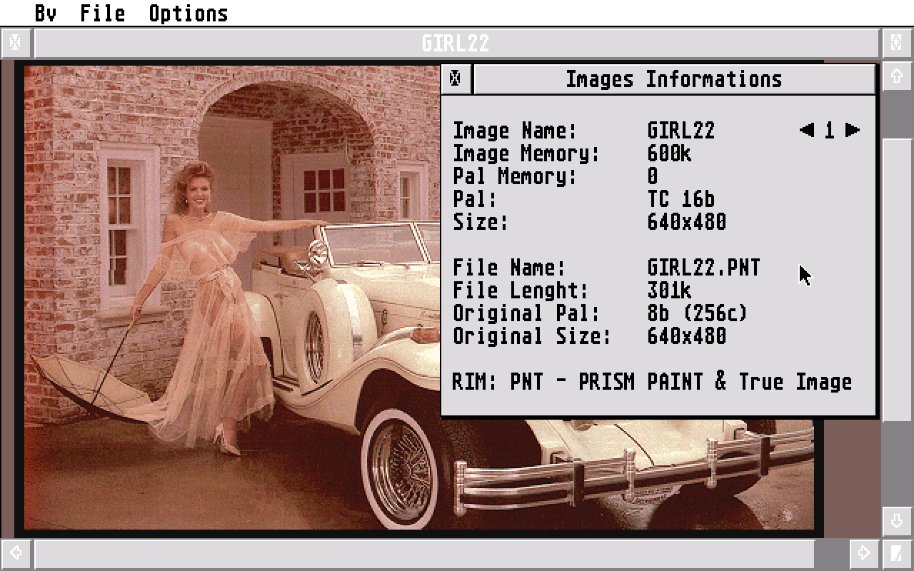 Bitmap View atari screenshot